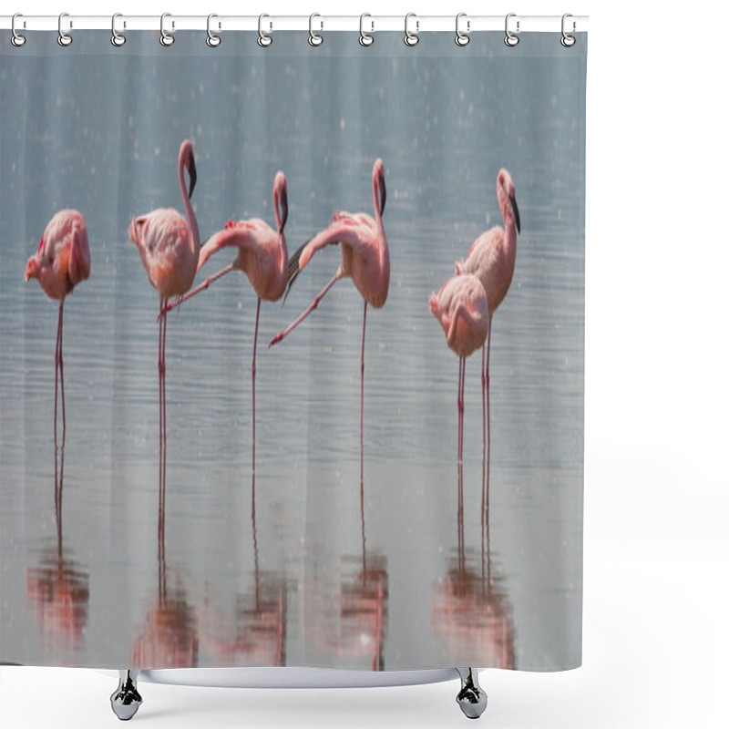 Personality  Pink Flamingos Outdoors Shower Curtains