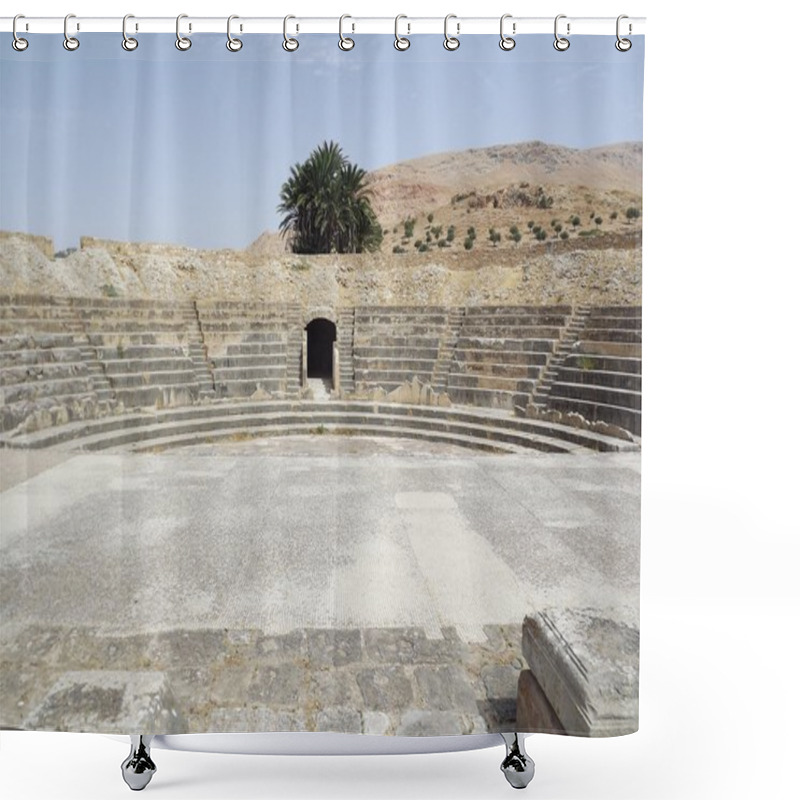 Personality  Roman City Bulla Regia Shower Curtains