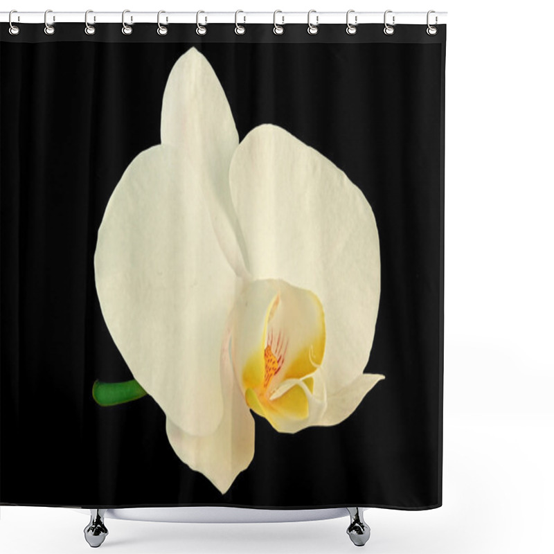 Personality  White Orchids Shower Curtains