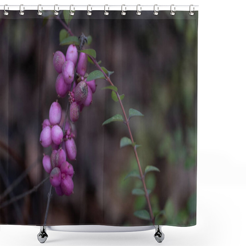 Personality  Closeup Of Delicate Pink Berries On A Branch, With A Rich Green Background In Soft Focus. The Vibrant Colors And Intricate Details Make This Image Suitable For Botanical Studies, Decorative Designs Shower Curtains