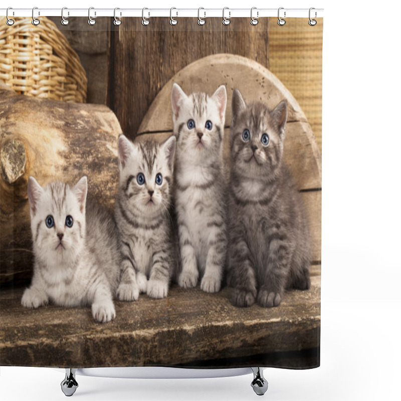 Personality  British Kitten Shower Curtains