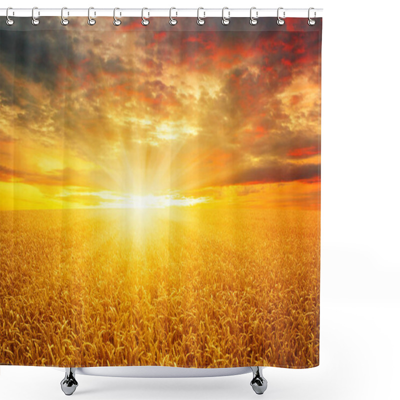 Personality  Field Of Wheat Shower Curtains