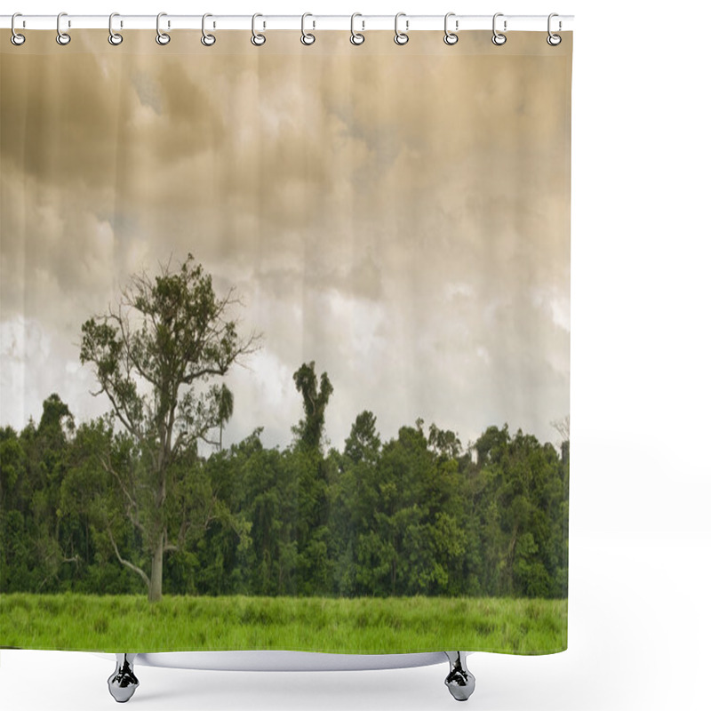 Personality  Tree Shower Curtains