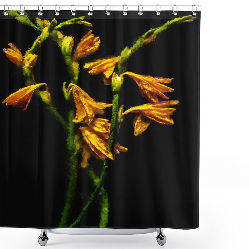 Personality  Beautiful Wet Orange Lilies And Buds With Green Stems Isolated On Black Shower Curtains