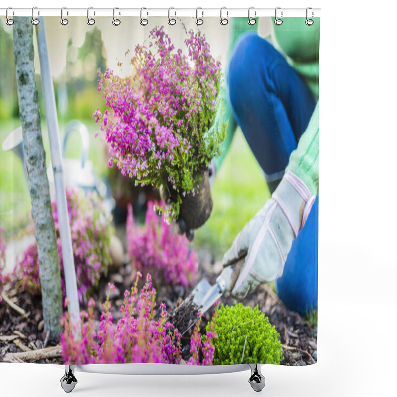 Personality  Autumn Planting Heathers And Plants In The Garden. Shower Curtains