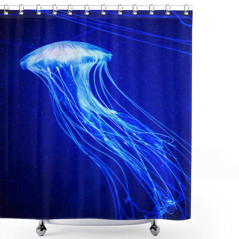 Personality  Beautiful Jellyfish, Medusa In The Neon Light With The Fishes. U Shower Curtains