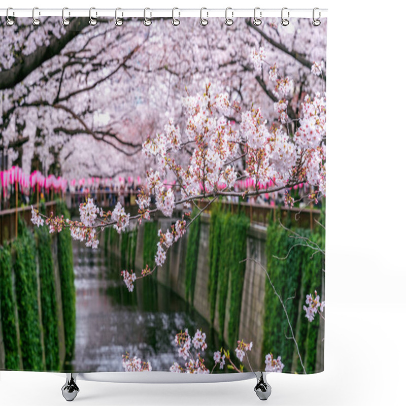 Personality  Cherry Blossom Rows Along The Meguro River In Tokyo, Japan Shower Curtains