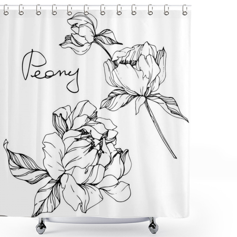 Personality  Vector Isolated Monochrome Peony Flower Sketch And Handwritten Lettering On White Background. Engraved Ink Art.  Shower Curtains