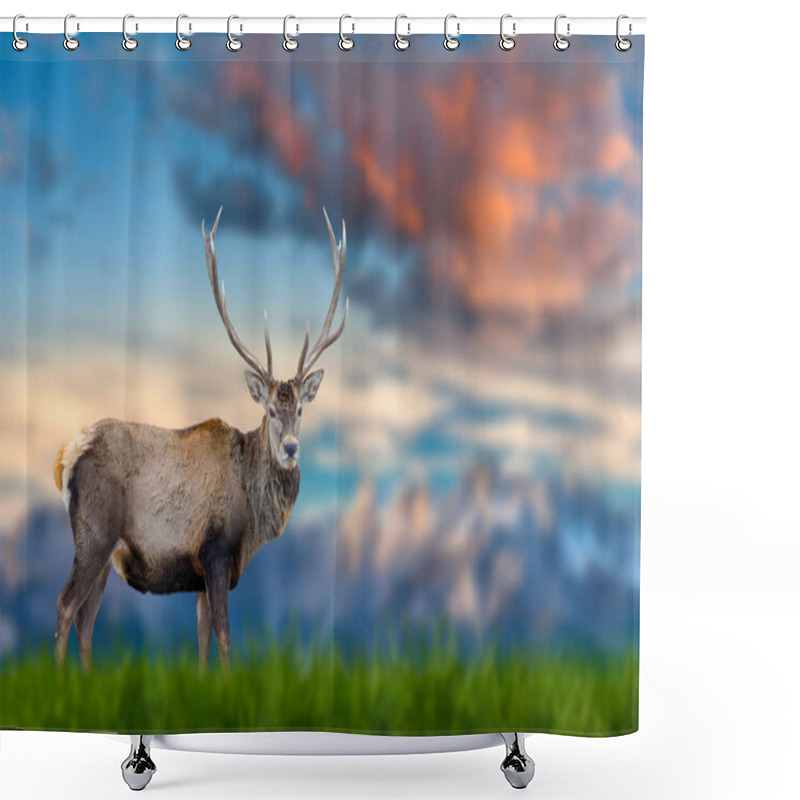 Personality  Red Deer Stands In The Grass Against The Backdrop Of Snow-capped Mountains At Sunset Shower Curtains