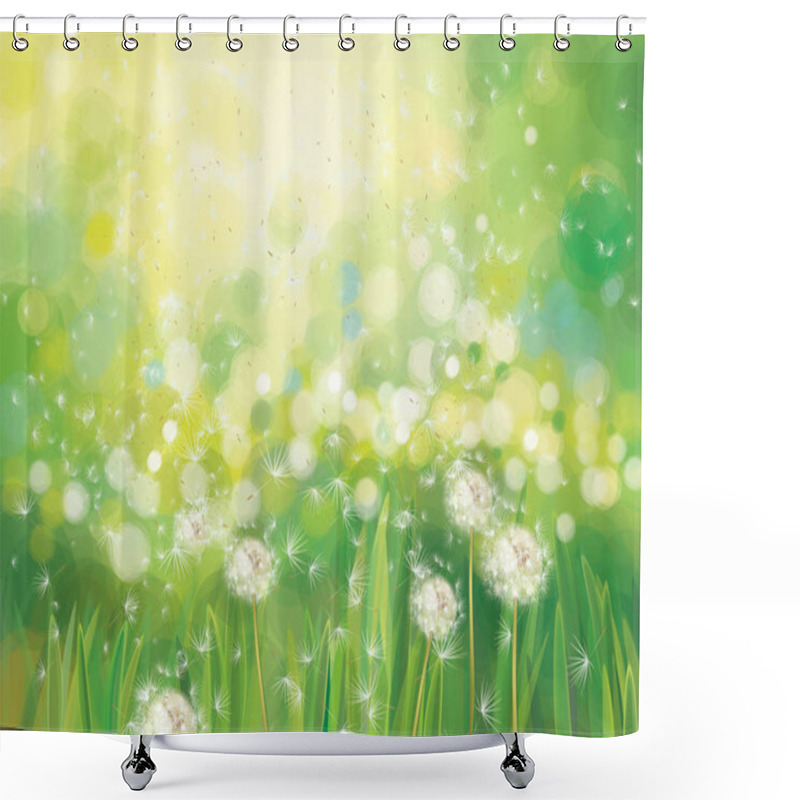 Personality  Vector Spring  Green Background,  White Dandelions Field In Suns Shower Curtains