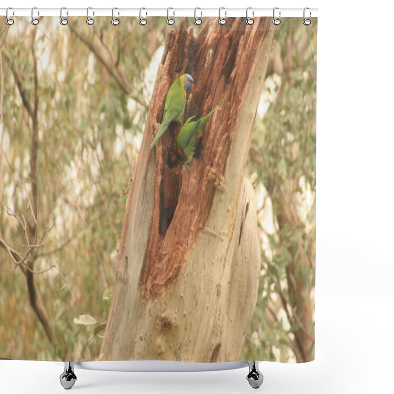 Personality  Parrots Shower Curtains