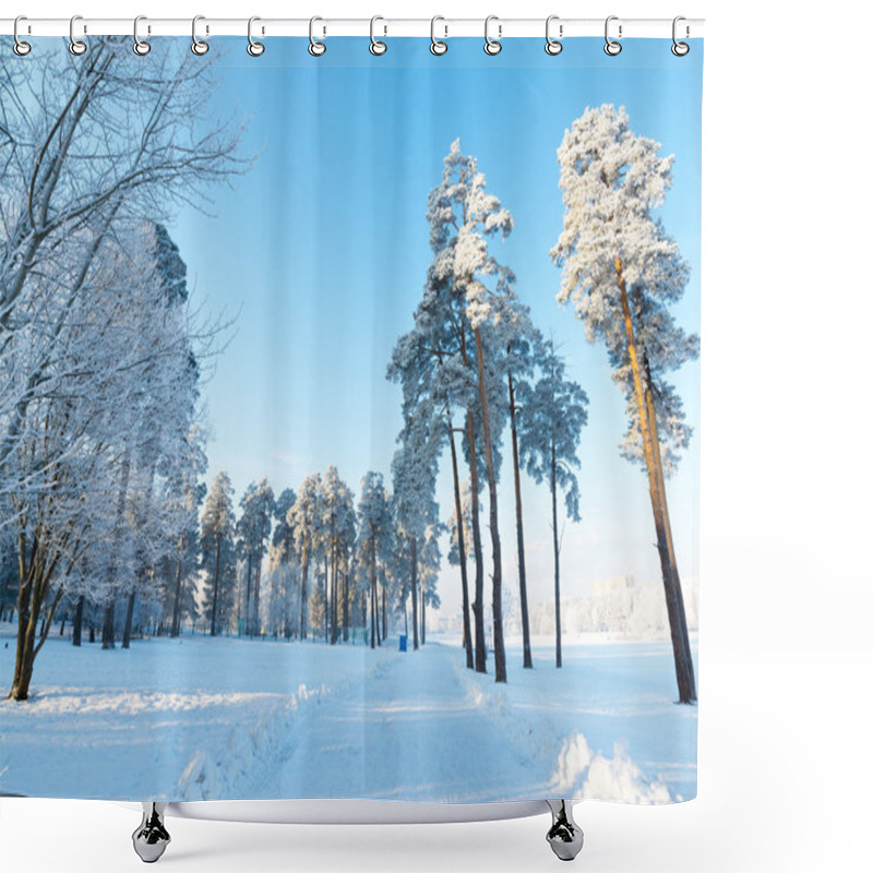 Personality  Beautiful Winter Forest On Sunny Day Shower Curtains