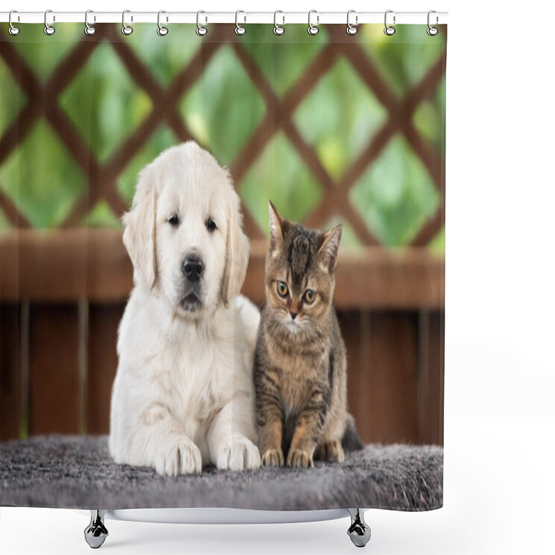 Personality  Golden Retriever Puppy And Tabby Kitten Posing Together Outdoors Shower Curtains