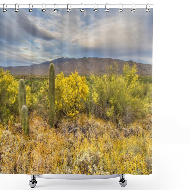 Personality  Tucson Arizona Desert Landscape. Desert Landscape With Spring Wildflowers And Saguaro Cactus At Saguaro National Park In Tucson Arizona Shower Curtains