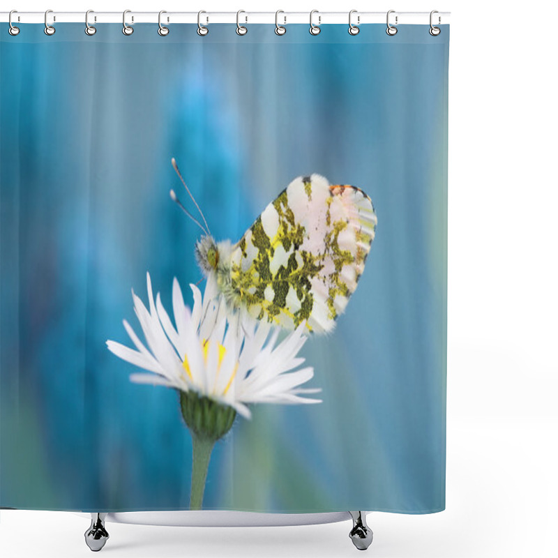 Personality  Gourmet Of The Nectar 5 Shower Curtains