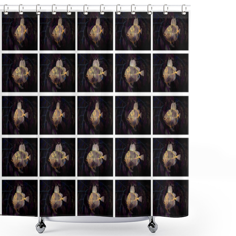 Personality  Frame Art Shower Curtains