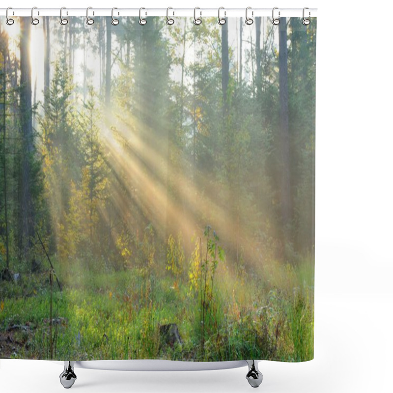 Personality  Sun Beams In Foggy Forest Shower Curtains