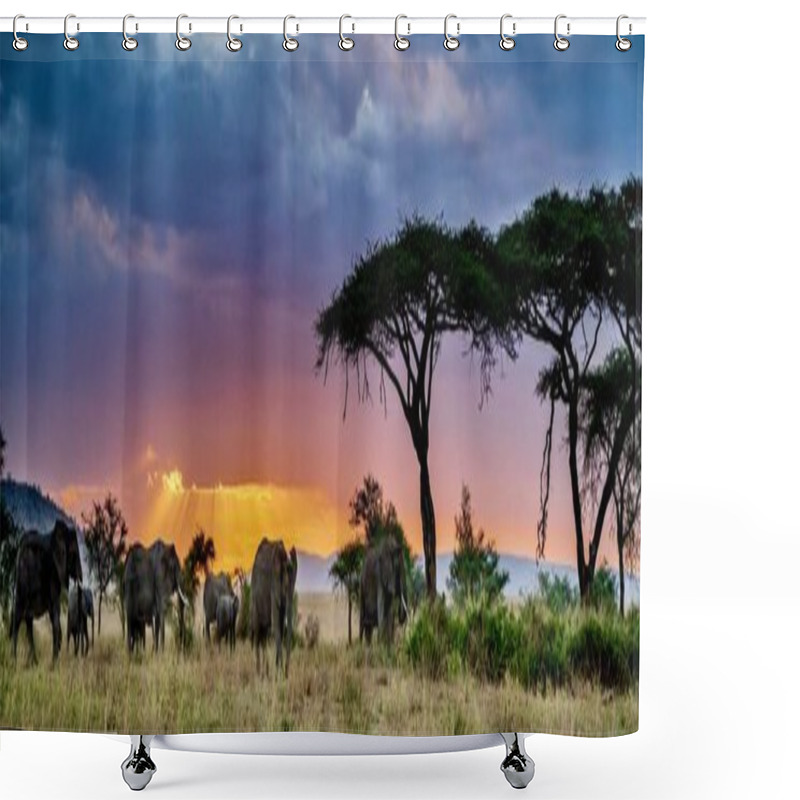 Personality  A Panoramic Shot Of A Group Of Elephants In The Wilderness At Sunset Shower Curtains