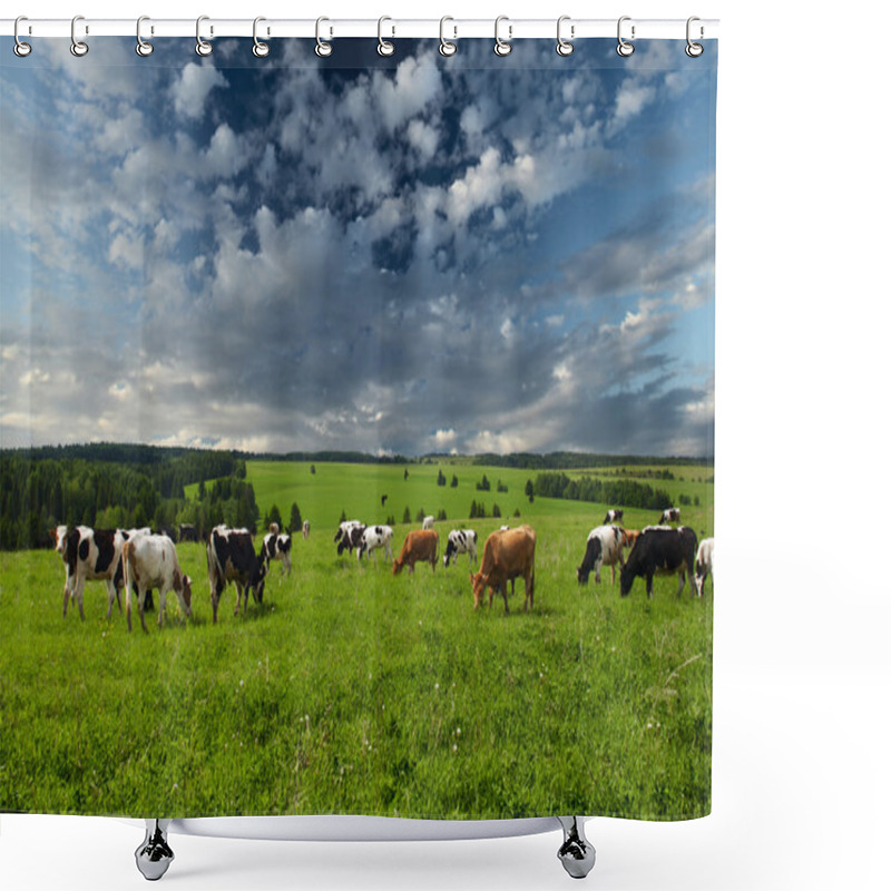 Personality  Cows Shower Curtains