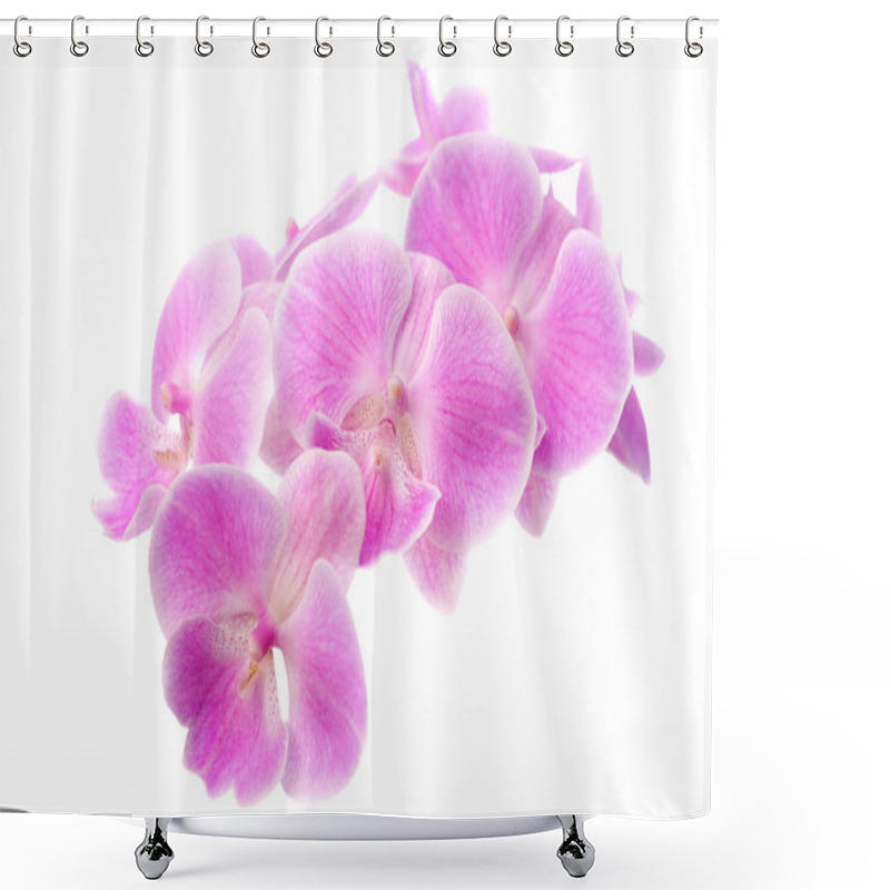 Personality  Orchid Flowers On White Background, Isolated. Shower Curtains