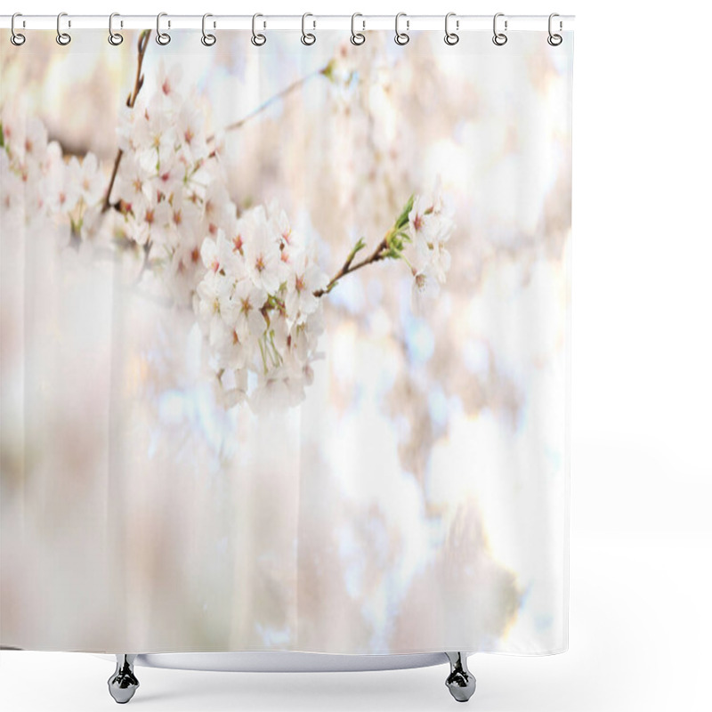 Personality  Delicate White Cherry Blossoms In Soft Focus, Embodying Spring's Beauty. Shower Curtains