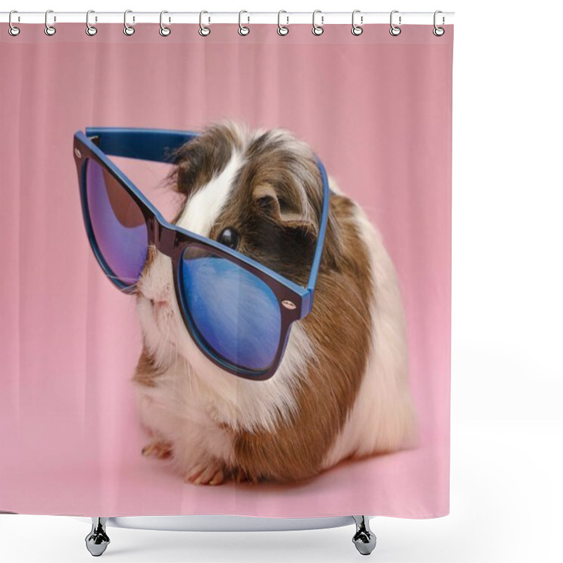 Personality  Cute Guinea Pig Wearing Sunglasses. High Quality Beautiful Photo Concept Shower Curtains