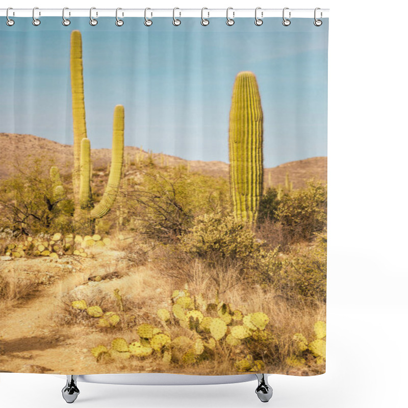 Personality  Saguaro Cactus Saguaro National Monument Tucson Arizona Sonoran Desert Shower Curtains