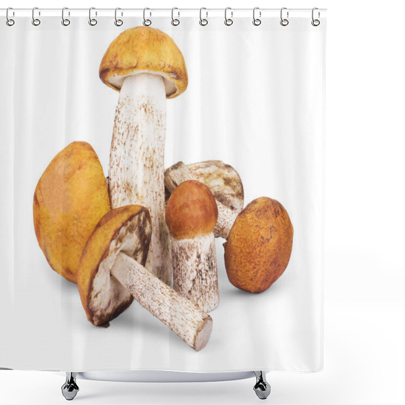 Personality  Fresh Forest Edible Mushrooms On A White Background Shower Curtains