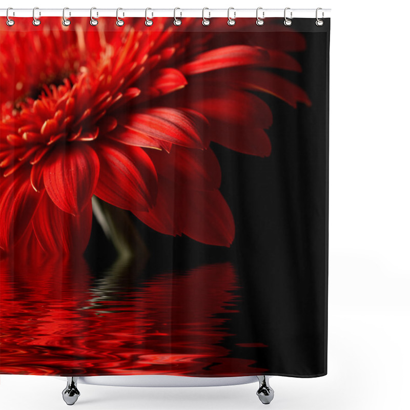 Personality  Red Daisy-gerbera On Black Background Shower Curtains