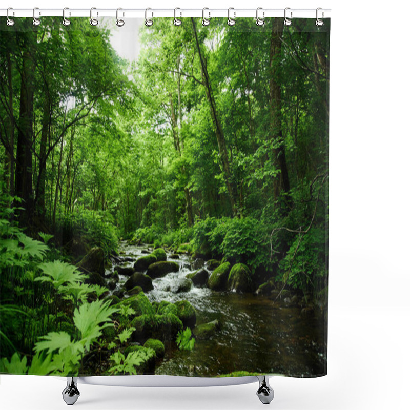 Personality  Scenic View Of River And Moss In The Forest Shower Curtains