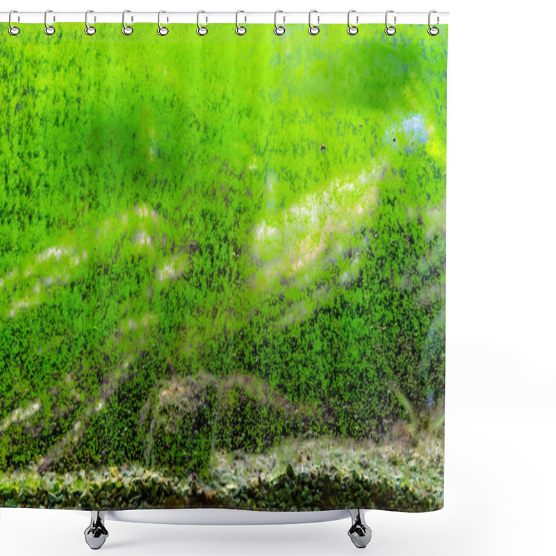 Personality  Dirty Glass Of Aquarium. Algae Growing On The Surface Of Fish Tank. Abstract View Of Green Slimy Organism Background Shower Curtains