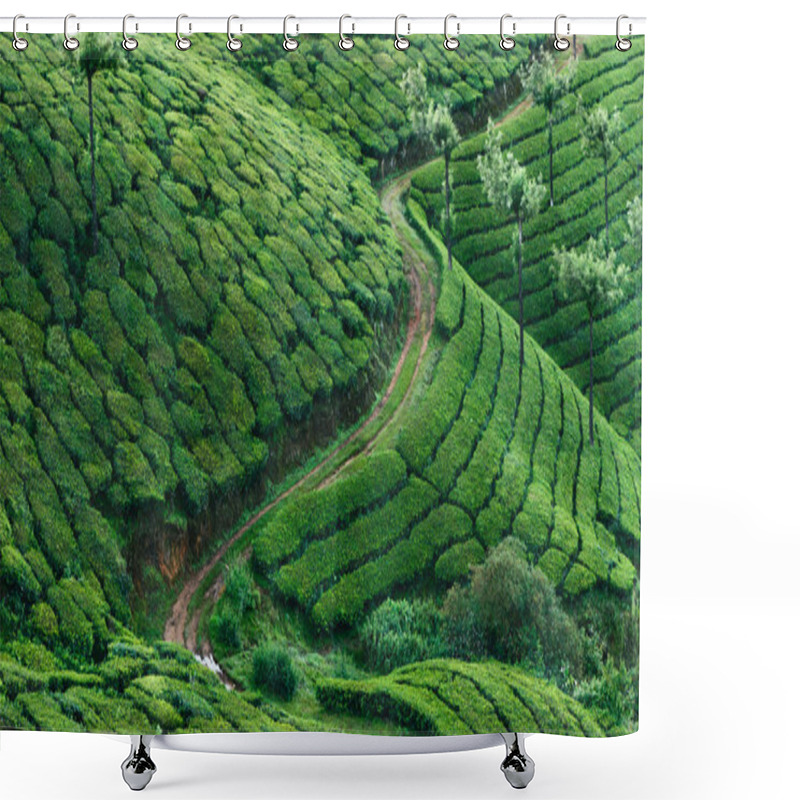 Personality  Green Hills Of Tea Plantations In Munnar Shower Curtains