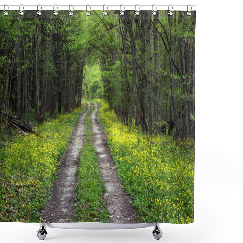 Personality  Spring Road Shower Curtains