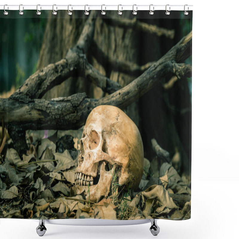 Personality  Still Life Skull Shower Curtains