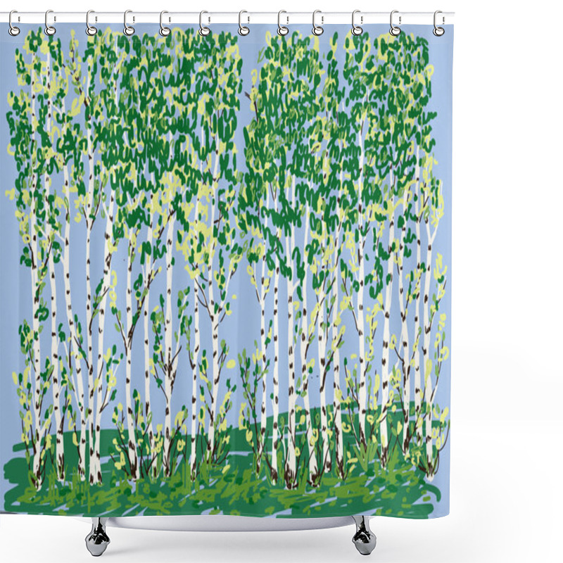 Personality  Vector Illustration Of Birch Grove In Summer Shower Curtains