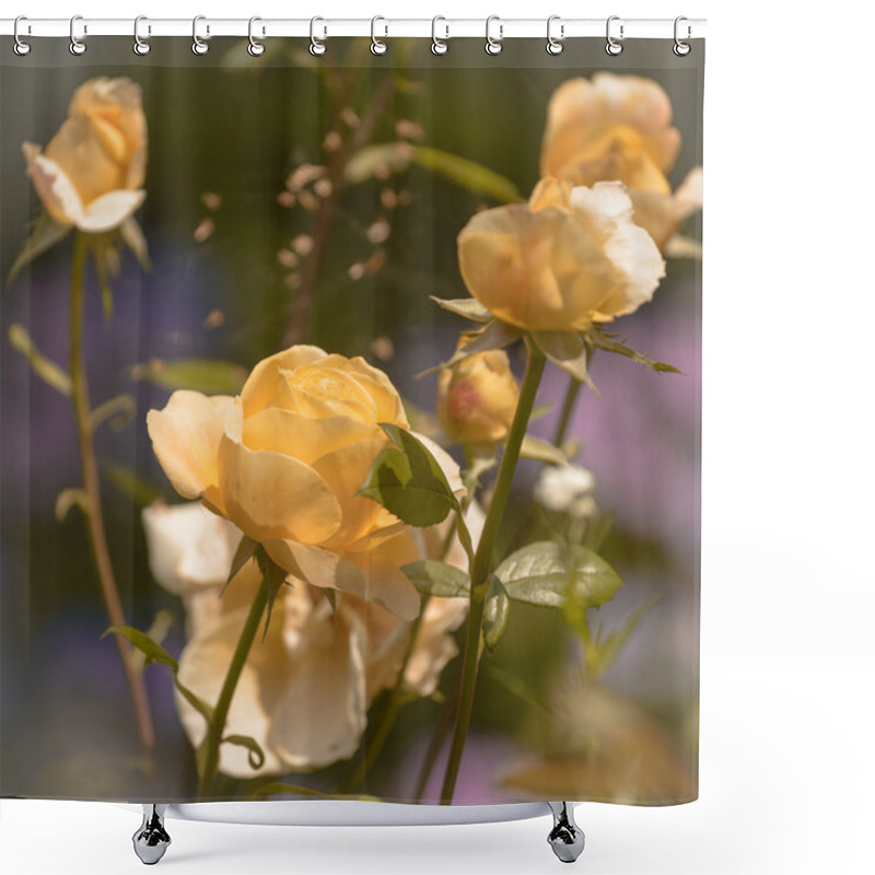 Personality  Rose Shower Curtains