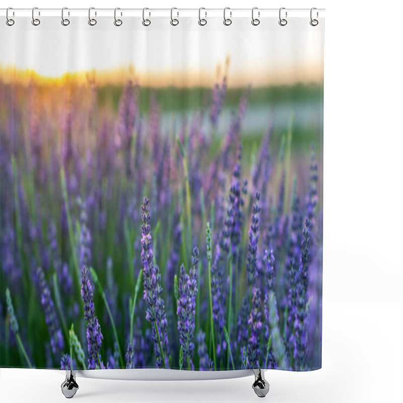 Personality  Lavender Field In The Sunset, Background, Texture. Shower Curtains