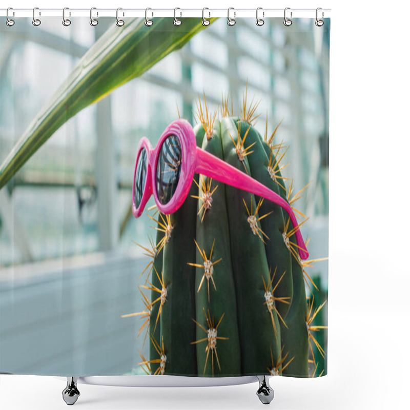 Personality  Beautiful Green Cactus With Bright Pink Sunglasses In Greenhouse  Shower Curtains