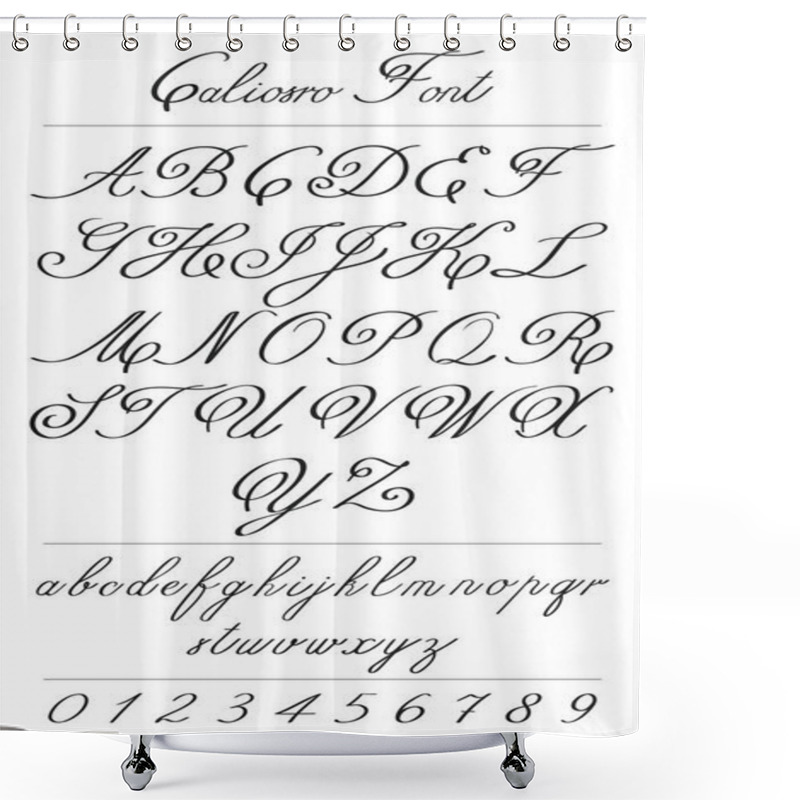 Personality  Elegant Calligraphy Letters With Florishes. Coliostro Font Shower Curtains