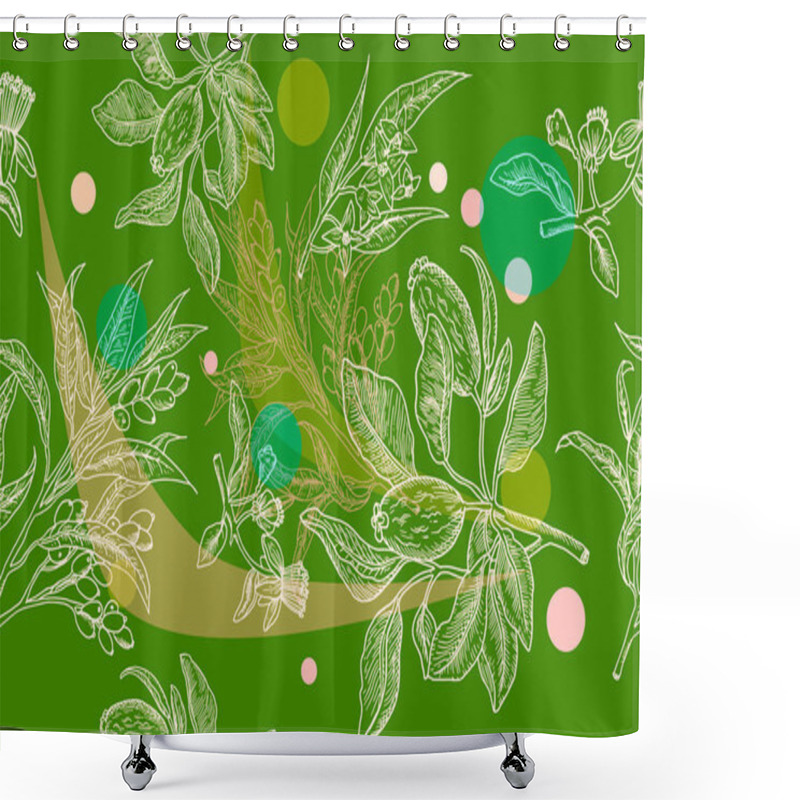 Personality  Vector Chalkboard . Chalk Typographic Design. Sketch Feijoa Vector Illustration. Shower Curtains