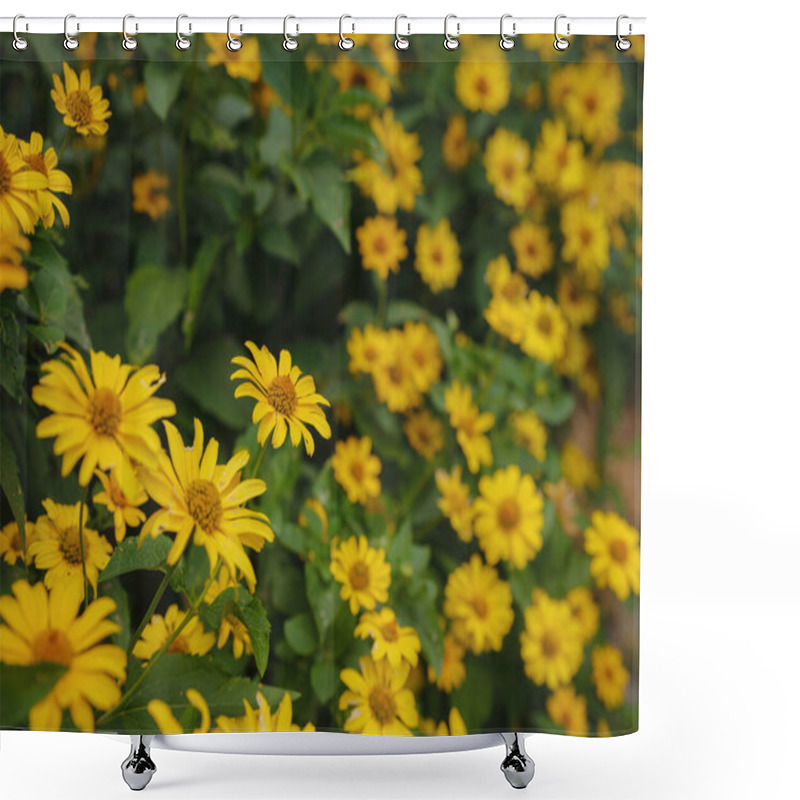 Personality  Bright Yellow Daisy-like Flowers Blooming In The Sun, Symbolizing Joy And Positivity, Growing In A Natural Setting, Perfect For Garden Enthusiasts Or Nature Photography Lovers. Shower Curtains