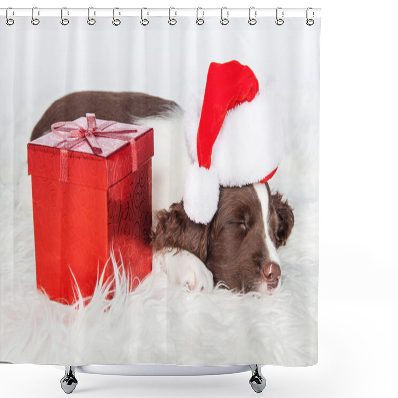 Personality  Puppy Wearing Christmas Santa Hat Shower Curtains