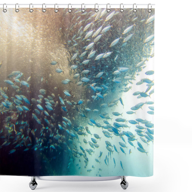 Personality  Sardine Ball In Moalboal, Cebu, Philippines Shower Curtains