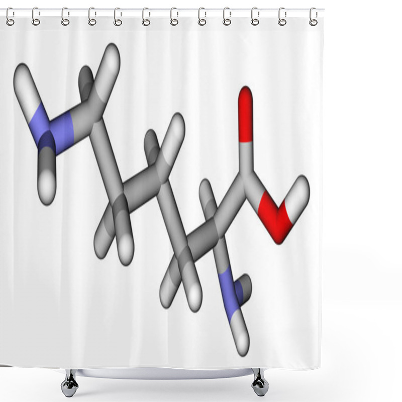 Personality  Amino Acid Lysine Sticks Molecular Model Shower Curtains