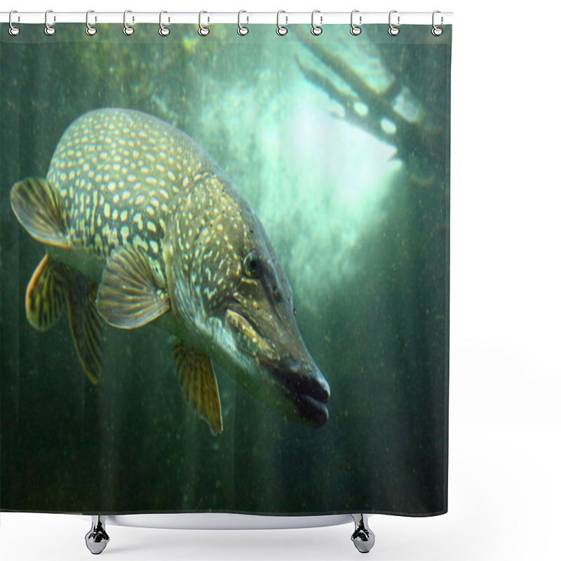 Personality  Big Pike Fish Shower Curtains