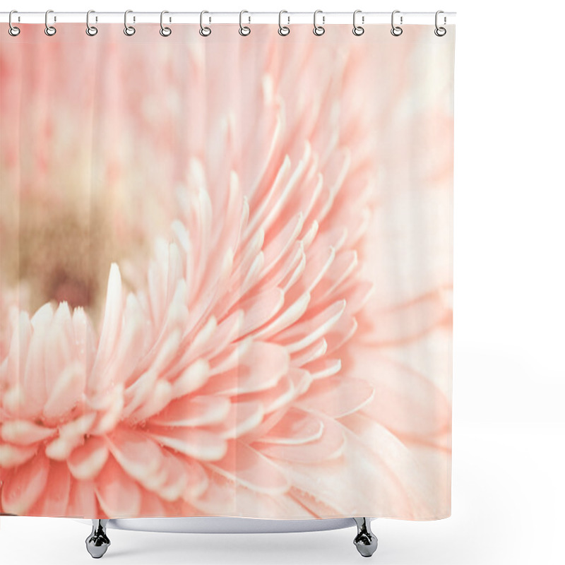 Personality  Pink Daisy-gerbera Shower Curtains