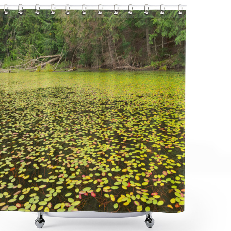 Personality  Water Shield Plants Covering The Lake On West Bear Lake In The Sylvania Wilderness In Michigan Shower Curtains