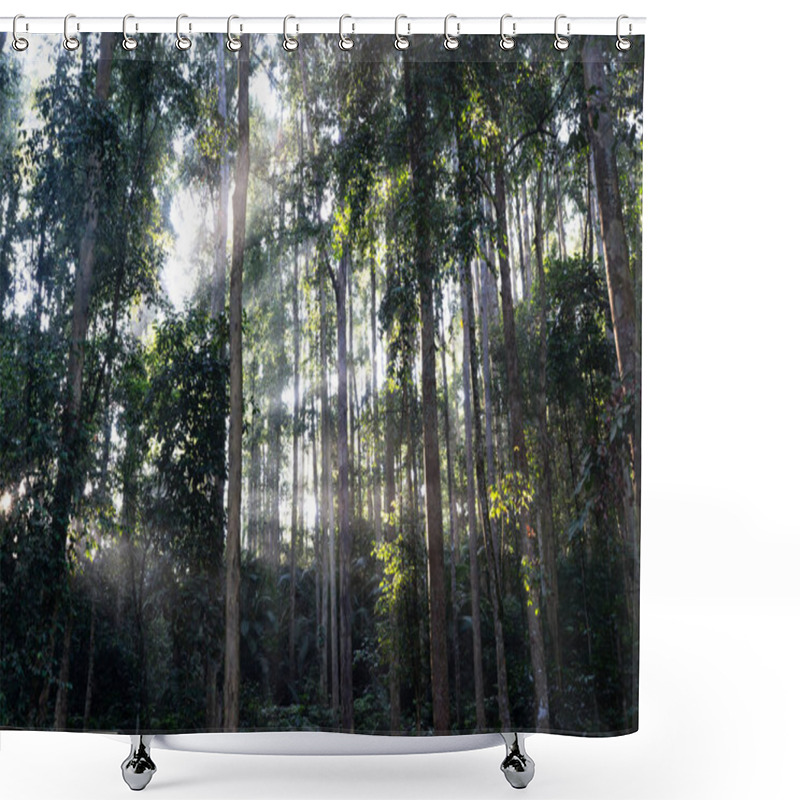 Personality  Sunrise In Malaysian Jungles Shower Curtains