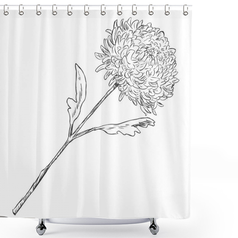 Personality  Vector Sketch Illustration - Chrysanthemum Shower Curtains