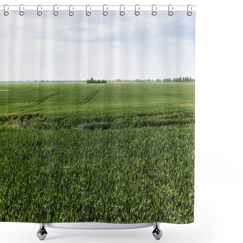 Personality  Sunlight On Fresh Grass In Green Field Against Sky  Shower Curtains